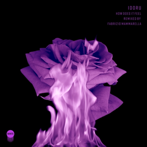 Idoru - How Does It Feel [MANTA012]